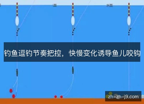 钓鱼逗钓节奏把控，快慢变化诱导鱼儿咬钩